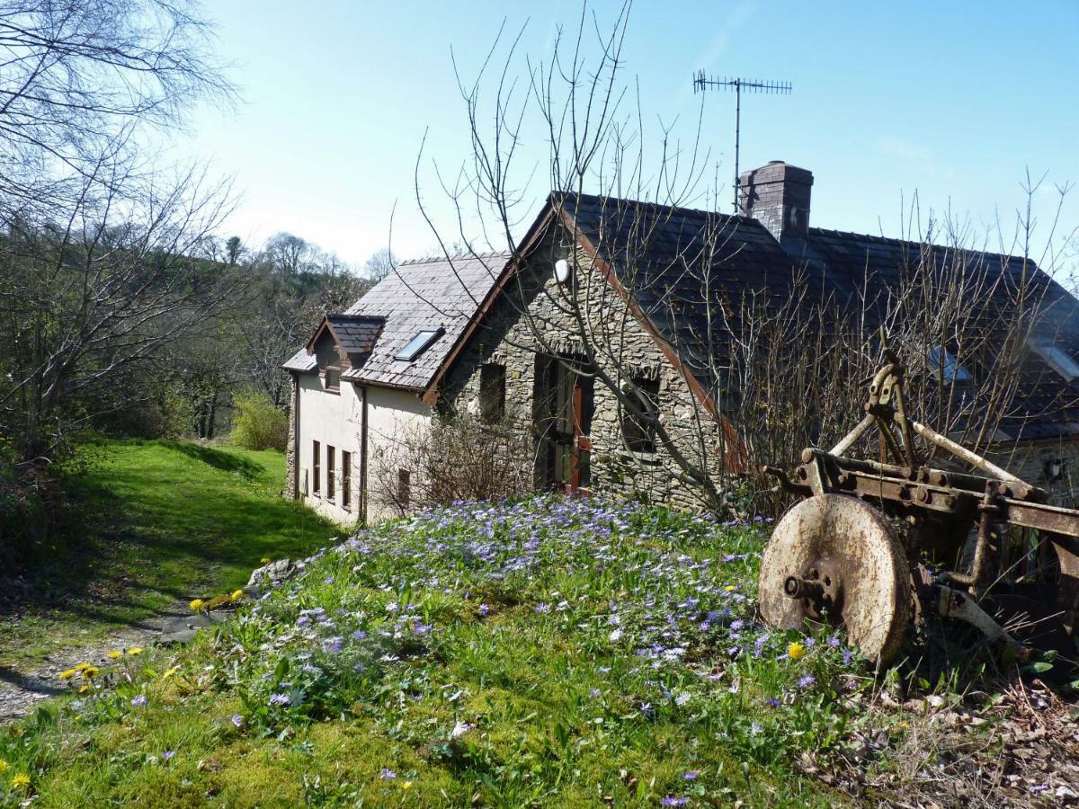 Ceridwen Holiday Home Llandysul Buitenkant foto